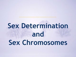 Copyright © 2009 Pearson Education, Inc.
Sex Determination
and
Sex Chromosomes
 