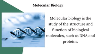 Evidences of Evolution General Biology 2 | PPTX