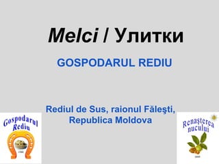 Melci / Улитки
  GOSPODARUL REDIU



Rediul de Sus, raionul Făleşti,
     Republica Moldova
 