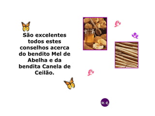 São excelentes
todos estes
conselhos acerca
do bendito Mel de
Abelha e da
bendita Canela de
Ceilão.
M.R.M.R.
 