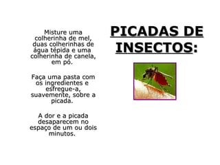 PICADAS DEPICADAS DE
INSECTOSINSECTOS::
Misture umaMisture uma
colherinha de mel,colherinha de mel,
duas colherinhas deduas colherinhas de
água tépida e umaágua tépida e uma
colherinha de canela,colherinha de canela,
em pó.em pó.
Faça uma pasta comFaça uma pasta com
os ingredientes eos ingredientes e
esfregue-a,esfregue-a,
suavemente, sobre asuavemente, sobre a
picada.picada.
A dor e a picadaA dor e a picada
desaparecem nodesaparecem no
espaço de um ou doisespaço de um ou dois
minutos.minutos.
 