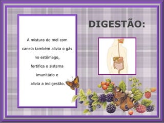 A mistura do mel com canela também alivia o gás no estômago, fortifica o sistema imunitário e alivia a indigestão.DIGESTÃO: