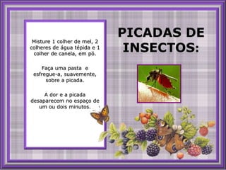 Misture 1 colher de mel, 2 colheres de águatépida e 1colher de canela, empó. Façauma pasta  e esfregue-a, suavemente, sobre a picada. A dor e a picada desaparecem no espaço de umoudois minutos. PICADAS DE INSECTOS: