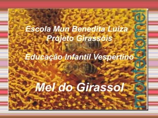 Escola Mun Benedita Luiza
Projeto Girassóis
Educação Infantil Vespertino
Mel do Girassol
 