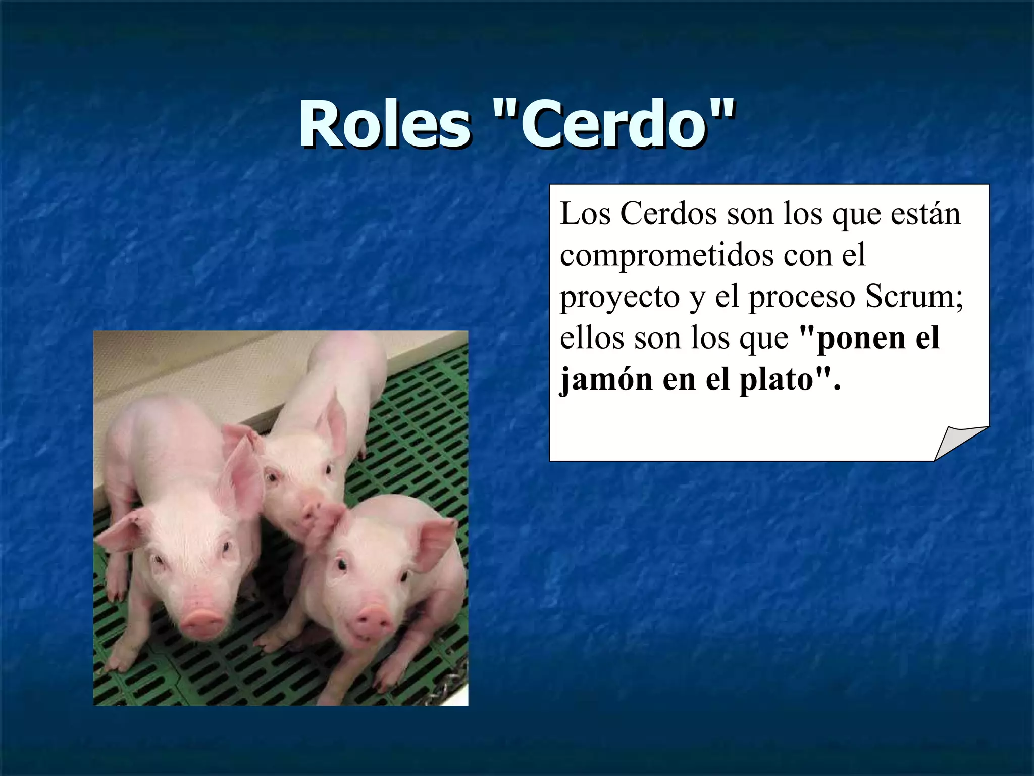Roles &quot;Cerdo&quot; Los Cerdos son los que están comprometidos con el proyecto y el proceso Scrum; ellos son los que  &quot;ponen el jamón en el plato&quot;. 