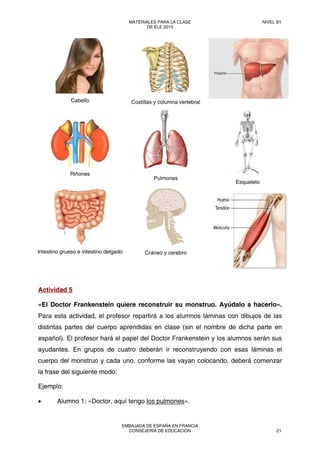 Cabello Costillas y columna vertebral
Riñones
Pulmones
Esqueleto
Intestino grueso e intestino delgado Cráneo y cerebro
Actividad 5
«El Doctor Frankenstein quiere reconstruir su monstruo. Ayúdalo a hacerlo».
Para esta actividad, el profesor repartirá a los alumnos láminas con dibujos de las
distintas partes del cuerpo aprendidas en clase (sin el nombre de dicha parte en
español). El profesor hará el papel del Doctor Frankenstein y los alumnos serán sus
ayudantes. En grupos de cuatro deberán ir reconstruyendo con esas láminas el
cuerpo del monstruo y cada uno, conforme las vayan colocando, deberá comenzar
la frase del siguiente modo:
Ejemplo:
• Alumno 1: «Doctor, aquí tengo los pulmones».
MATERIALES PARA LA CLASE
DE ELE 2013
NIVEL B1
EMBAJADA DE ESPAÑA EN FRANCIA
CONSEJERÍA DE EDUCACIÓN 21
 