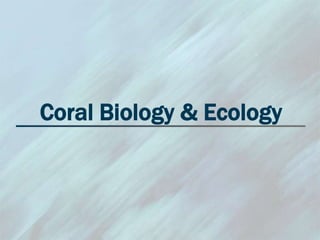 Coral Biology & Ecology
 