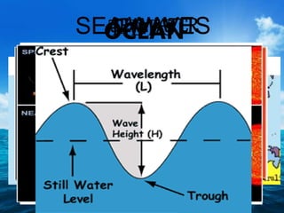 OCEANSEAWATER
Salinity
 The total quantity of dissolved salts in
seawater, expressed as a percentage.
Dissolved
Gases
TIDESSEA WAVES
 