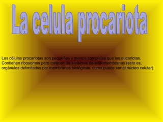 Las células procariotas son pequeñas y menos complejas que las eucariotas. Contienen ribosomas pero carecen de sistemas de endomembranas (esto es, orgánulos delimitados por membranas biológicas, como puede ser el núcleo celular).  La celula procariota 