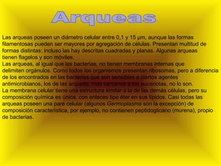 Las arqueas poseen un diámetro celular entre 0,1 y 15 μm, aunque las formas filamentosas pueden ser mayores por agregación de células. Presentan multitud de formas distintas: incluso las hay descritas cuadradas y planas. Algunas arqueas tienen flagelos y son móviles. Las arqueas, al igual que las bacterias, no tienen membranas internas que delimiten orgánulos. Como todos los organismos presentan ribosomas, pero a diferencia de los encontrados en las bacterias que son sensibles a ciertos agentes antimicrobianos, los de las arqueas, más cercanos a los eucariotas, no lo son. La membrana celular tiene una estructura similar a la de las demás células, pero su composición química es única, con enlaces tipo éter en sus lípidos. Casi todas las arqueas poseen una pare celular (algunos  Germoplasma  son la excepción) de composición característica, por ejemplo, no contienen peptidoglicano (murena), propio de bacterias.  Arqueas 