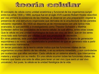 teoría celular El concepto de célula como unidad anatómica y funcional de los organismos surgió entre los años 1830 y 1880, aunque fue en el siglo XVII cuando Robert Hooke describió por vez primera la existencia de las mismas, al observar en una preparación vegetal la presencia de una estructura organizada que derivaba de la arquitectura de las paredes celulares vegetales. En 1830 se disponía ya de microscopios con una óptica más avanzada, lo que permitió a investigadores como Theodor Schwann y Matthia Schleiden definir los postulados de la teoría celular, la cual afirma, entre otras cosas: Que la célula es una unidad morfológica de todo ser vivo: es decir, que en los seres vivos todo está formado por células o por sus productos de secreción. En otras palabras, este postulado constituye la refutación de la teoría de generación espontánea o  ex novo , que hipotetizaba la posibilidad de que se generara vida a partir de elementos inanimados. Un tercer postulado de la teoría celular indica que las funciones vitales de los organismos ocurren dentro de las células, o en su entorno inmediato, y son controladas por sustancias que ellas secretan. Cada célula es un sistema abierto, que intercambia materia y energía con su medio. En una célula ocurren todas las funciones vitales, de manera que basta una sola de ellas para tener un ser vivo (que será un ser vivo unicelular). Así pues, la célula es la unidad fisiológica de la vida. 