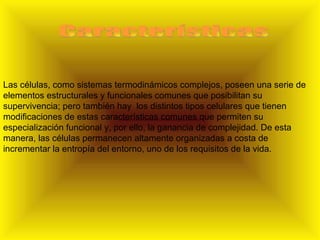 Características Las células, como sistemas termodinámicos complejos, poseen una serie de elementos estructurales y funcionales comunes que posibilitan su supervivencia; pero también hay  los distintos tipos celulares que tienen modificaciones de estas características comunes que permiten su especialización funcional y, por ello, la ganancia de complejidad. De esta manera, las células permanecen altamente organizadas a costa de incrementar la entropía del entorno, uno de los requisitos de la vida. 