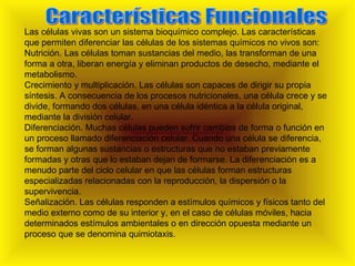 Características Funcionales Las células vivas son un sistema bioquímico complejo. Las características que permiten diferenciar las células de los sistemas químicos no vivos son: Nutrición. Las células toman sustancias del medio, las transforman de una forma a otra, liberan energía y eliminan productos de desecho, mediante el metabolismo. Crecimiento y multiplicación. Las células son capaces de dirigir su propia síntesis. A consecuencia de los procesos nutricionales, una célula crece y se divide, formando dos células, en una célula idéntica a la célula original, mediante la división celular. Diferenciación. Muchas células pueden sufrir cambios de forma o función en un proceso llamado diferenciación celular. Cuando una célula se diferencia, se forman algunas sustancias o estructuras que no estaban previamente formadas y otras que lo estaban dejan de formarse. La diferenciación es a menudo parte del ciclo celular en que las células forman estructuras especializadas relacionadas con la reproducción, la dispersión o la supervivencia. Señalización. Las células responden a estímulos químicos y físicos tanto del medio externo como de su interior y, en el caso de células móviles, hacia determinados estímulos ambientales o en dirección opuesta mediante un proceso que se denomina quimiotaxis.  