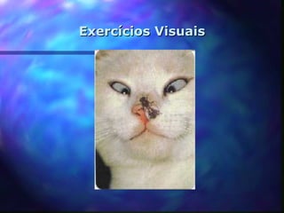 Exercícios Visuais
 