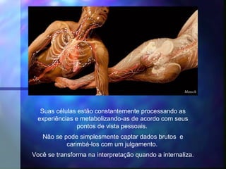 Mensch




   Suas células estão constantemente processando as
  experiências e metabolizando-as de acordo com seus
                pontos de vista pessoais.
   Não se pode simplesmente captar dados brutos e
           carimbá-los com um julgamento.
Você se transforma na interpretação quando a internaliza.
 