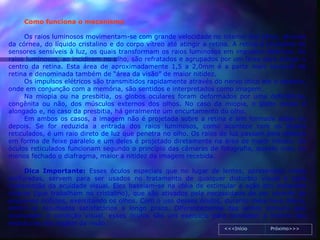 Como funciona o mecanismo

     Os raios luminosos movimentam-se com grande velocidade no interior dos olhos, através
da córnea, do líquido cristalino e do corpo vítreo até atingir a retina. A retina é revestida de
sensores sensíveis à luz, os quais transformam os raios luminosos em impulsos elétricos. Os
raios luminosos, ao incidirem no olho, são refratados e agrupados por um feixe para atingir o
centro da retina. Esta área de aproximadamente 1,5 a 2,0mm é a parte mais sensível da
retina e denominada também de “área da visão” de maior nitidez.
     Os impulsos elétricos são transmitidos rapidamente através do nervo ótico até o cérebro,
onde em conjunção com a memória, são sentidos e interpretados como imagem.
     Na miopia ou na presbitia, os globos oculares foram deformados por uma deficiência,
congênita ou não, dos músculos externos dos olhos. No caso da miopia, o globo ocular é
alongado e, no caso da presbitia, há geralmente um encurtamento do olho.
     Em ambos os casos, a imagem não é projetada sobre a retina e sim formada antes ou
depois. Se for reduzida a entrada dos raios luminosos, como acontece com os óculos
reticulados, é um raio direto de luz que penetra no olho. Os raios de luz passam pela retícula
em forma de feixe paralelo e um deles é projetado diretamente na área de maior nitidez. Os
óculos reticulados funcionam segundo o princípio das câmaras de fotografia, quanto mais ou
menos fechado o diafragma, maior a nitidez da imagem recebida.

      Dica Importante: Esses óculos especiais que no lugar de lentes, apresentam redes
perfuradas, servem para ser usados no tratamento de qualquer distúrbio visual e para
restauração da acuidade visual. Eles baseiam-se na idéia de estimular a ação dos músculos
ciliares (que trabalham no cristalino), que são ativados pela necessidade de ver através de
pequenos orifícios, exercitando os olhos. Com o uso desses óculos, durante meia hora diária,
obtém-se resultados satisfatórios a longo prazo. Diferentemente das lentes comuns que
acomodam a condição visual, esses óculos são um exercício para combater a inércia das
estruturas dos órgãos da visão.
                                                                     <<<Início      Próximo>>>
 