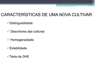CARACTERÍSTICAS DE UMA NOVA CULTIVAR
Distinguibilidade
 Descritores das culturas
 Homogeneidade
Estabilidade
Teste de DHE
 