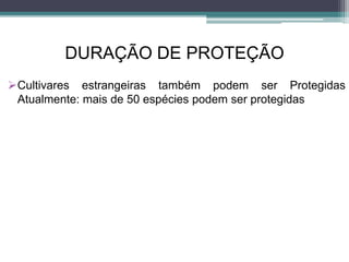 DURAÇÃO DE PROTEÇÃO
Cultivares estrangeiras também podem ser Protegidas
Atualmente: mais de 50 espécies podem ser protegidas
 
