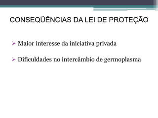 CONSEQÜÊNCIAS DA LEI DE PROTEÇÃO
 Maior interesse da iniciativa privada
 Dificuldades no intercâmbio de germoplasma
 
