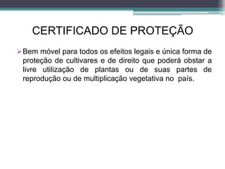 CERTIFICADO DE PROTEÇÃO
Bem móvel para todos os efeitos legais e única forma de
proteção de cultivares e de direito que poderá obstar a
livre utilização de plantas ou de suas partes de
reprodução ou de multiplicação vegetativa no país.
 