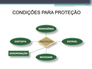 CONDIÇÕES PARA PROTEÇÃO
HOMOGÊNEA
DISTINTA
NOVIDADE
DENOMINAÇÃO
PROTEÇÃO ESTÁVEL
 