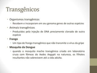Transgênicos
• Organismos transgênicos
• Recebem e incorporam em seu genoma genes de outras espécies
• Animais transgênicos
• Produzidos pela injeção de DNA previamente clonado de outra
espécie
• Frango
• Um tipo de frango transgênico que não transmite o vírus da gripe
• Mosquito da Dengue
• quando o mosquito macho transgênico criado em laboratório
cruza com fêmeas do Aedes Aegypti na natureza, os filhotes
resultantes não sobrevivem até a vida adulta.
 