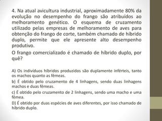 4. Na atual avicultura industrial, aproximadamente 80% da
evolução no desempenho do frango são atribuídos ao
melhoramento genético. O esquema de cruzamento
utilizado pelas empresas de melhoramento de aves para
obtenção do frango de corte, também chamado de híbrido
duplo, permite que ele apresente alto desempenho
produtivo.
O frango comercializado é chamado de híbrido duplo, por
quê?
A) Os indivíduos híbridos produzidos são duplamente inférteis, tanto
os machos quanto as fêmeas.
b) É obtido pelo cruzamento de 4 linhagens, sendo duas linhagens
machos e duas fêmeas.
c) É obtido pelo cruzamento de 2 linhagens, sendo uma macho e uma
fêmea.
D) É obtido por duas espécies de aves diferentes, por isso chamado de
híbrido duplo.
 