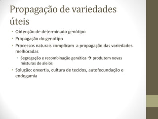 Propagação de variedades
úteis
• Obtenção de determinado genótipo
• Propagação do genótipo
• Processos naturais complicam a propagação das variedades
melhoradas
• Segregação e recombinação genética  produzem novas
misturas de alelos
• Solução: enxertia, cultura de tecidos, autofecundação e
endogamia
 