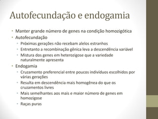 Autofecundação e endogamia
• Manter grande número de genes na condição homozigótica
• Autofecundação
• Próximas gerações não recebam alelos estranhos
• Entretanto a recombinação gênica leva a descendência variável
• Mistura dos genes em heterozigose que a variedade
naturalmente apresenta
• Endogamia
• Cruzamento preferencial entre poucos indivíduos escolhidos por
várias gerações
• Resulta em descendência mais homogênea do que os
cruzamentos livres
• Mais semelhantes aos mais e maior número de genes em
homozigose
• Raças puras
 