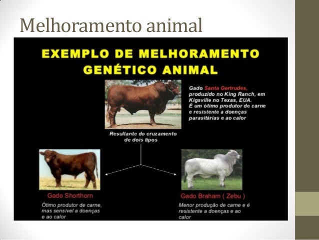 Introdução a genetica Introdução a genetica