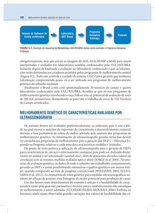 Melhoramento Genético Aplicado em Gado de Corte102
obrigatoriamente, tem que enviar as imagens de AOL, EGS, RUMP e MAR para serem
interpretadas e avaliadas em laboratórios também credenciados pela UGC/ATUBRA.
Somente depois de ﬁnalizada a avaliação no laboratório credenciado é que as informa-
ções serão destinadas aos criadores assistidos pelos programas de melhoramento animal
(Figura 9.2). Todo este controle e cuidado do sistema UGC é para garantir que nenhuma
informação comprometida possa vir a ser utilizada nos programas de melhoramento
genético do rebanho nacional.
Atualmente o Brasil conta com aproximadamente 20 tecnicos de campo e quatro
laboratórios credenciados pela UGC/ATUBRA. Acredita-se que só nos programas de
melhoramento genético envolvendo a raça Nelore tem-se potencial de avaliação de mais
de 200 mil animais/ano, demandando-se para isto o trabalho de cerca de 150 Técnicos
de Campo certiﬁcados.
MELHORAMENTO GENÉTICO DE CARACTERISTICAS AVALIADAS POR
ULTRASSONOGRAFIA
Os animais devem ser avaliados, preferencialmente, ao sobreano, pois é esta a ida-
de na qual ocorre o máximo da expressão do crescimento e desenvolvimento corporal,
durante a fase probatória de coleta de dados, adotada pela maioria dos programas de
melhoramento genético. As informações de ultrassonograﬁa geradas nesta fase devem
ser enviadas aos programas de melhoramento para a geração das DEP´s – Diferença Es-
perada na Progênie, relativas a cada uma das características medidas e avaliadas.
Do ponto de vista prático, a aplicação da ultrassonograﬁa para a geração de DEP’s
para características de carcaça é extremamente vantajosa, pois pode ser realizada direta-
mente no animal a ser selecionado (animal vivo), além de apresentar elevados valores de
correlação com as mesmas medidas avaliadas após o abate (JORGE et al. 2004). No pro-
cesso de avaliação genética, os dados de todo o rebanho são trabalhados conjuntamente,
gerando as DEP’s e assim possibilitando estimativas e ganhos genéticos em menor tem-
po, quando comparado ao teste de progênie convencional (WILLIAMS, 2002; SUGUI-
SAWA et al., 2012). As estimativas de valor genético para medidas ultrassonográﬁcas au-
xiliam na seleção de animais e/ou linhagens de maior potencial para produção de carne.
Um dos fatores mais determinantes da resposta à seleção é a herdabilidade da carac-
terística, razão pela qual este parâmetro é decisivo para o estabelecimento das estratégias
de melhoramento a serem adotadas (LUCHIARI FILHO; MOURÃO, 2006). Embora na
literatura ainda sejam observadas grandes variações nos valores de herdabilidade das ca-
FIGURA 9.2. Exemplo de esquema da Metodologia UGC/ATUBRA, tendo como exemplo o Programa Geneplus/
Embrapa.
Técnico de Software de
Coleta certiﬁcados
Laboratório
DGT Brasil
Fazenda
Programa
Geneplus/
Embrapa
 