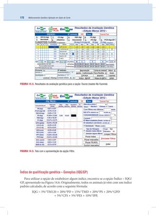 Melhoramento Genético Aplicado em Gado de Corte172
Índice de qualificação genética – Geneplus (IQG/GP)
Para utilizar a opção de estabelecer algum índice, encontra-se a opção Índice – IQG/
GP, apresentado na Figura 14.6. Originalmente, todos os animais já vêm com um índice
padrão calculado, de acordo com a seguinte fórmula:
IQG = 5%*TM120 + 20%*PD + 15%*TMD + 20%*PS + 20%*GPD
+ 5%*CFS + 5%*PES + 10%*IPP,
FIGURA 14.4. Resultados da avaliação genética para a opção Touros Usados Na Fazenda.
FIGURA 14.5. Tela com a apresentação da opção Filtro.
 