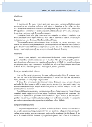185CAPÍTULO 15 • Avaliação Zootécnica e Funcional em Gado de Corte
Em fêmeas
Esqueleto
O crescimento dos ossos persiste por mais tempo nos animais subférteis quando
comparados com animais sexualmente mais precoces.A ossiﬁcação das epíﬁses está liga-
da à ocorrência de hormônios na circulação sanguínea, o que coincide com a puberdade.
Desequilíbrios hormonais ou animais sexualmente mais tardios provocam, consequen-
temente, crescimento mais demorado dos ossos.
Partindo-se desse princípio, vacas de estatura elevada, em relação à média da raça,
traduzem-se em vacas menos férteis ou mais tardias. A leveza de formas, conferida por
uma estrutura óssea delicada, é fundamental nas fêmeas.
Paletas pesadas, pouco articuladas ao tórax, recobertas por massas musculares pos-
santes, dão à fêmea um aspecto leonino, totalmente indesejável. Quando visto de lado, o
perﬁl do corpo de uma fêmea deve apresentar quartos traseiros profundos na altura do
ﬂanco, e quartos dianteiros leves, sem proeminência da maçã do peito.
Pelo e couro
O pelo e o couro reﬂetem a atividade hormonal da fêmea. Fêmeas devem apresentar
pelos tendendo a tons mais claros do que os machos. Pelos grosseiros, eriçados, com es-
curecimento na cabeça, pescoço e paleta, reﬂetem baixa atividade hormonal ovariana, e
consequentemente indicam queda da fertilidade. Os pelos nas fêmeas devem ser sedosos
e cheios de vida em contraposição a pelos opacos, secos e grosseiros.
Formação e desenvolvimento de músculos
Uma novilha ou vaca jovem com úbere carnudo ou com depósitos de gordura, quan-
do visto por trás, indica baixa habilidade maternal. O úbere ideal visto por trás, quando
vazio, apresenta-se com pregas longitudinais.
A fêmea deve apresentar músculos suavemente deﬁnidos, tendo um aspecto geral
delicado. Novilhas ou vacas subférteis apresentam pescoço bem musculado, paleta com
musculatura evidente que impede a visualização de seu encaixe ao tórax e coxas com
muita deﬁnição muscular.
A genitália externa em vacas grandes e musculosas, frequentemente, é infantil e está
associada a ovários pequenos, lisos e pouco funcionais. A deposição de gordura e a lo-
calização de depósitos de gordura é uma característica ligada ao sexo. A distribuição da
gordura no corpo de uma fêmea funcional deve ser uniforme. Acúmulos proeminentes
de gordura na ponta dos íleos e dos ísquios indicam subfertilidade.
Comportamento e temperamento
O temperamento mais ativo e, às vezes, bravio dos animais merece bastante atenção
na seleção.Animais de temperamento bravio, que mantêm a cabeça constantemente ele-
vada e se apresentam sempre espantados, indicam alta função da tireoide. Em geral, são
vacas de baixa habilidade maternal e que produzem pouco leite. A função da tireoide e a
 