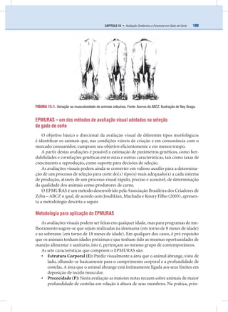 189CAPÍTULO 15 • Avaliação Zootécnica e Funcional em Gado de Corte
EPMURAS – um dos métodos de avaliação visual adotados na seleção
de gado de corte
O objetivo básico e direcional da avaliação visual de diferentes tipos morfológicos
é identiﬁcar os animais que, nas condições viáveis de criação e em consonância com o
mercado consumidor, cumpram seu objetivo eﬁcientemente e em menos tempo.
A partir destas avaliações é possível a estimação de parâmetros genéticos, como her-
dabilidades e correlações genéticas entre estas e outras características, tais como taxas de
crescimento e reprodução, como suporte para decisões de seleção.
As avaliações visuais podem ainda se converter em valioso auxílio para a determina-
ção de um processo de seleção para corte do(s) tipo(s) mais adequado(s) a cada sistema
de produção, através de um processo visual rápido, preciso e acessível, de determinação
da qualidade dos animais como produtores de carne.
O EPMURAS é um método desenvolvido pela Associação Brasileira dos Criadores de
Zebu – ABCZ o qual, de acordo com Josahkian, Machado e Koury Filho (2003), apresen-
ta a metodologia descrita a seguir.
Metodologia para aplicação do EPMURAS
As avaliações visuais podem ser feitas em qualquer idade, mas para programas de me-
lhoramento sugere-se que sejam realizadas na desmama (em torno de 8 meses de idade)
e ao sobreano (em torno de 18 meses de idade). Em qualquer dos casos, é pré-requisito
que os animais tenham idades próximas e que tenham tido as mesmas oportunidades de
manejo alimentar e sanitário, isto é, pertençam ao mesmo grupo de contemporâneos.
As sete características que compõem o EPMURAS são:
• Estrutura Corporal (E): Prediz visualmente a área que o animal abrange, visto de
lado, olhando-se basicamente para o comprimento corporal e a profundidade de
costelas. A área que o animal abrange está intimamente ligada aos seus limites em
deposição de tecido muscular.
• Precocidade (P): Nesta avaliação as maiores notas recaem sobre animais de maior
profundidade de costelas em relação à altura de seus membros. Na prática, prin-
FIGURA 15.1. Variação na musculosidade de animais zebuínos. Fonte: Acervo da ABCZ. Ilustração de Ney Braga.
 