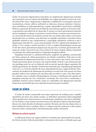 Melhoramento Genético Aplicado em Gado de Corte42
ticular. Os processos degenerativos testiculares ou simplesmente degeneração testicular
são a principal causa de redução da fertilidade com origem gonadal em touros de corte.
Na maioria dos casos, a degeneração é adquirida e multifatorial. As principais causas são:
traumatismos, estresse calórico ambiental ou infeccioso, doenças sistêmicas (intoxica-
ções, metabólicas ou infectoparasitárias), orquite, desequilíbrio nutricional e senilidade.
Podem se apresentar de forma uni ou bilateral, com sintomas agudos ou de forma crôni-
ca, geralmente mais difícil de ser observada. É comum os touros apresentarem testículos
macios à palpação e redução no perímetro escrotal. Porém, é comum encontrarmos tou-
ros com testículos ﬁrmes de tamanho normal. Em um estudo onde avaliou-se 65 touros
descartados por, no mínimo, uma alteração no aparelho reprodutivo associada à baixa
qualidade seminal ou que comprometesse a capacidade copulatória, veriﬁcou-se que a
degeneração testicular foi a causa mais prevalente (89,2%), seguida pela hipoplasia tes-
ticular (7,7%), orquite e postite ulcerativa (1,5%). A análise histopatológica revelou que
41,4% dos touros apresentavam degeneração de grau leve, os demais apresentaram alte-
rações de caráter irreversível, tais como esclerose da túnica própria, ﬁbrose intersticial,
vacuolização das células germinativas e hipoespermatogênese difusa.
Hipoplasia testicular é o subdesenvolvimento congênito das gônadas, caracterizado
por baixo número de células germinativas nos túbulos seminíferos. Pode estar ou não
acompanhada de degeneração testicular. A causa mais aceita é que touros com essa pa-
tologia apresentam genes recessivos com expressividade variável, o que demonstra que
esta patologia pode ser uni ou bilateral, total ou parcial, quando alguns segmentos do
epitélio germinativo são afetados. Estudos têm mostrado que a hipoplasia gonadal pode
variar de 1,1 a 15,0% do rebanho de ouros, dependendo da raça e região do Brasil. Clini-
camente, há tendência de diminuição do perímetro escrotal com certa maciez no tônus
gonadal, embora essa condição não seja observada em todos os casos. Tais observações,
em conjunto com os achados histopatológicos, levaram à classiﬁcação dos quadros de
hipoplasia testicular em: leve, moderada e acentuada. Nos casos leves e moderados, a
qualidade seminal é pouco afetada e pode ser confundida com degeneração testicular
temporária, permitindo que esses reprodutores permaneçam no plantel.
EXAME DE SÊMEN
O exame de sêmen compreende uma etapa importante da avaliação para a aptidão
reprodutiva do touro. Em muitas ocasiões, os indivíduos apresentam ótima integridade
clínica-genital,mas o sêmen mostra-se com alterações compatíveis com sub ou infertilida-
de. No entanto, é mais comum encontrar touros com alterações clínicas testiculares/epidi-
dimais com níveis elevados de alterações seminais. Portanto, não há uma relação clara ou
bem estabelecida entre a condição clínica e a resposta seminal, sendo que os dois exames
devem ser feitos e interpretados criteriosamente pelo médico veterinário.
Métodos de colheita seminal
A colheita de sêmen com vagina artiﬁcial é o método mais representativo do ejacula-
do. Porém, devido à falta de praticidade e treinamento dos touros, é utilizado quase que
 
