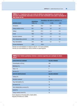 45CAPÍTULO 4 • Aptidão Reprodutiva de Touros
TABELA 4.1. Frequências total e por níveis de defeitos no espermograma, de acordo com as
diferentes anormalidades observadas em touros de corte classiﬁcados como aptos à reprodução no
Mato Grosso do Sul.
ANORMALIDADES
FREQUÊNCIA
TOTAL (%)1
FREQUÊNCIA POR NÍVEIS DE DEFEITOS (%)2
1-10% 11-30% >30%
Acrossomo 68,7 93,2 5,9 0,9
Cabeça isolada normal 66,1 95,6 3,8 0,7
Cabeça 69,9 97,0 2,2 0,8
Cauda 96,6 61,2 33,5 5,3
Vacúolos nucleares 10,7 97,4 2,2 0,4
Gota citoplasmática proximal 45,9 97,7 1,8 0,5
Peça intermediária 30,5 99,7 0,3 0,1
Formas teratológicas 23,8 100,0 - -
1
Animais com anormalidades em relação ao total de 1.521 touros avaliados;
2
Animais com anormalidades por níveis de defeitos no espermograma.
TABELA 4.2. Padrões qualitativos mínimos e máximos sugeridos para avaliação do sêmen
bovino1
.
CARACTERÍSTICAS SEMINAIS VALORES MÍNIMOS
Concentração (x106
/mL) 500
Motilidade (%) 50
Vigor (1-5) 3
Normais (%) 60-70
DEFEITOS MORFOLÓGICOS VALORES MÁXIMOS
Cabeça (%) 10
Vacúolos nucleares2
10-15%
Peça intermediária (%) 10
Acrossomo (%) 10
Gota citoplasmática proximal (%) 10
Cauda (%) 15
Cabeça isolada normal (%) 10
1
Fonte: Adaptado de Pimentel (2001) e Barth (2007);
2
Segundo Fernandes et al. (2008).
 