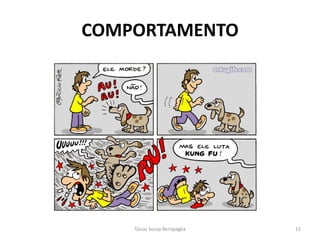 COMPORTAMENTO 
Tássia Souza Bertipaglia 
11  
