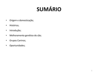 SUMÁRIO 
•Origem e domesticação; 
•Histórico; 
•Introdução; 
•Melhoramento genético do cão; 
•Grupos Caninos; 
•Oportunidades; 
2  