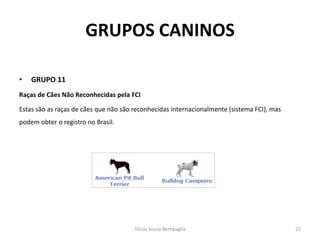 GRUPOS CANINOS 
•GRUPO 11 
Raças de Cães Não Reconhecidas pela FCI 
Estas são as raças de cães que não são reconhecidas internacionalmente (sistema FCI), mas podem obter o registro no Brasil. 
Tássia Souza Bertipaglia 
22  