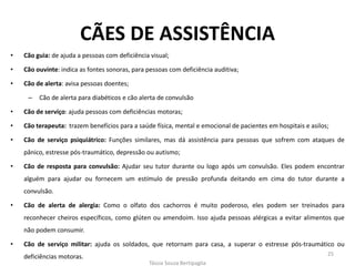 CÃES DE ASSISTÊNCIA 
•Cão guia: de ajuda a pessoas com deficiência visual; 
•Cão ouvinte: indica as fontes sonoras, para pessoas com deficiência auditiva; 
•Cão de alerta: avisa pessoas doentes; 
–Cão de alerta para diabéticos e cão alerta de convulsão 
•Cão de serviço: ajuda pessoas com deficiências motoras; 
•Cão terapeuta: trazem benefícios para a saúde física, mental e emocional de pacientes em hospitais e asilos; 
•Cão de serviço psiquiátrico: Funções similares, mas dá assistência para pessoas que sofrem com ataques de pânico, estresse pós-traumático, depressão ou autismo; 
•Cão de resposta para convulsão: Ajudar seu tutor durante ou logo após um convulsão. Eles podem encontrar alguém para ajudar ou fornecem um estímulo de pressão profunda deitando em cima do tutor durante a convulsão. 
•Cão de alerta de alergia: Como o olfato dos cachorros é muito poderoso, eles podem ser treinados para reconhecer cheiros específicos, como glúten ou amendoim. Isso ajuda pessoas alérgicas a evitar alimentos que não podem consumir. 
•Cão de serviço militar: ajuda os soldados, que retornam para casa, a superar o estresse pós-traumático ou deficiências motoras. 
Tássia Souza Bertipaglia 
25  