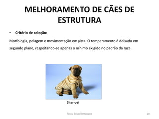 •Critério de seleção: 
Morfologia, pelagem e movimentação em pista. O temperamento é deixado em segundo plano, respeitando-se apenas o mínimo exigido no padrão da raça. 
MELHORAMENTO DE CÃES DE ESTRUTURA 
Shar-pei 
Tássia Souza Bertipaglia 
28  