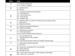 Série 
Ação 
C 
CC = Produção de pigmento 
CchCch = cinza, cc = albino 
B 
B_ = pigmento preto 
bb = marrom 
A 
AS _ = distribuição uniforme da eumelanina 
ay ay = cão sable claro 
ayat = animal sable escuro 
atat = animal bicolor 
awaw = pelagem aguti 
E 
EE = pigmento intenso e uniforme, máscara escura em animais claros 
E_ = preto normal 
ee = predomina amarelo 
D 
D_ = diluição na produção do pigmento 
dd = ausência de diluição 
K 
K_ = predomínio da cor preta 
kbr = cor Brindle (tigrado) 
ky ou k - permite a ação dos alelos do Locus A. 
S 
S_ = sem manchas brancas, 
si_ = manchas brancas “colar irlandês” 
sp_ = malhado 
swsw = cães brancos (marcas somente nas orelhas e base da cauda 
T 
T_ = aparecimento de pelos salpicados 
tt = cor normal 
G 
GG = Dominante, cão grisalho com 1 ano de idade 
Gg = menos extensivo 
gg = coloração normal 
M 
MM = merle, olhos e pelos claros, surdêz, cegueira e esterilidade 
Mm = merle, mm = cor normal 
46  
