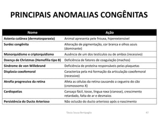 PRINCIPAIS ANOMALIAS CONGÊNITAS 
Nome 
Ação 
Astenia cutânea (dermatosparaxia) 
Animal apresenta pele frouxa, hiperextensível 
Surdez congênita 
Alteração de pigmentação, cor branca e olhos azuis (dominante) 
Monorquidismo e criptorquidismo 
Ausência de um dos testículos ou de ambos (recessivo) 
Doença de Christmas (Hemofilia tipo B) 
Deficiência de fatores de coagulação (machos) 
Síndrome de von Willebrand 
Deficiência de proteína responsáveis pelas plaquetas 
Displasia coxofemoral 
Caracteriza pela má formação da articulação coxofemoral (recessivo) 
Atrofia progressiva da retina 
Afeta as células da retina causando a cegueira do cão (cromossomo X) 
Cardiopatias 
Cansaço fácil, tosse, língua roxa (cianose), crescimento retardado, falta de ar e desmaios 
Persistência do Ducto Arterioso 
Não oclusão do ducto arterioso após o nascimento 
Tássia Souza Bertipaglia 
47  