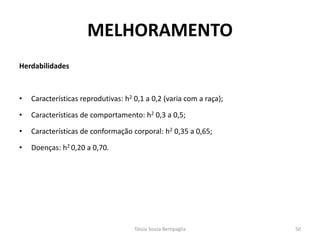 Herdabilidades 
•Características reprodutivas: h2 0,1 a 0,2 (varia com a raça); 
•Características de comportamento: h2 0,3 a 0,5; 
•Características de conformação corporal: h2 0,35 a 0,65; 
•Doenças: h2 0,20 a 0,70. 
MELHORAMENTO 
Tássia Souza Bertipaglia 
50  