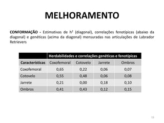 MELHORAMENTO 
CONFORMAÇÃO - Estimativas de h2 (diagonal), correlações fenotípicas (abaixo da diagonal) e genéticas (acima da diagonal) mensuradas nas articulações de Labrador Retrievers 
53 
Herdabilidades e correlações genéticas e fenotípicas 
Características 
Coxofemoral 
Cotovelo 
Jarrete 
Ombros 
Coxofemoral 
0,65 
0,22 
0,06 
0,07 
Cotovelo 
0,55 
0,48 
0,06 
0,08 
Jarrete 
0,21 
0,00 
0,18 
0,10 
Ombros 
0,41 
0,43 
0,12 
0,15  