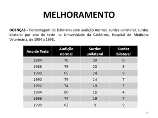 MELHORAMENTO 
DOENÇAS - Porcentagem de Dálmatas com audição normal, surdez unilateral, surdez bilateral por ano de teste na Universidade da Califórnia, Hospital de Medicina Veterinária, de 1984 a 1998. 
54  