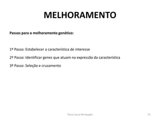 Passos para o melhoramento genético: 
1º Passo: Estabelecer a característica de interesse 
2º Passo: Identificar genes que atuam na expressão da característica 
3º Passo: Seleção e cruzamento 
MELHORAMENTO 
Tássia Souza Bertipaglia 
55  