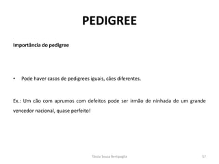 Importância do pedigree 
•Pode haver casos de pedigrees iguais, cães diferentes. 
Ex.: Um cão com aprumos com defeitos pode ser irmão de ninhada de um grande vencedor nacional, quase perfeito! 
PEDIGREE 
Tássia Souza Bertipaglia 
57  