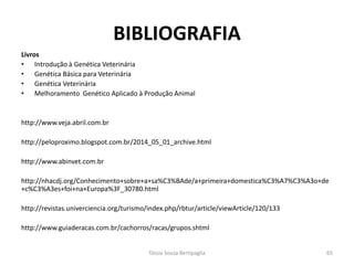 BIBLIOGRAFIA 
Livros 
•Introdução à Genética Veterinária 
•Genética Básica para Veterinária 
•Genética Veterinária 
•Melhoramento Genético Aplicado à Produção Animal 
http://www.veja.abril.com.br 
http://peloproximo.blogspot.com.br/2014_05_01_archive.html 
http://www.abinvet.com.br 
http://nhacdj.org/Conhecimento+sobre+a+sa%C3%BAde/a+primeira+domestica%C3%A7%C3%A3o+de+c%C3%A3es+foi+na+Europa%3F_30780.html 
http://revistas.univerciencia.org/turismo/index.php/rbtur/article/viewArticle/120/133 
http://www.guiaderacas.com.br/cachorros/racas/grupos.shtml 
Tássia Souza Bertipaglia 
65 