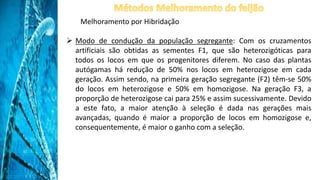 Melhoramento por Hibridação
 Modo de condução da população segregante: Com os cruzamentos
artificiais são obtidas as sementes F1, que são heterozigóticas para
todos os locos em que os progenitores diferem. No caso das plantas
autógamas há redução de 50% nos locos em heterozigose em cada
geração. Assim sendo, na primeira geração segregante (F2) têm-se 50%
do locos em heterozigose e 50% em homozigose. Na geração F3, a
proporção de heterozigose cai para 25% e assim sucessivamente. Devido
a este fato, a maior atenção à seleção é dada nas gerações mais
avançadas, quando é maior a proporção de locos em homozigose e,
consequentemente, é maior o ganho com a seleção.
 
